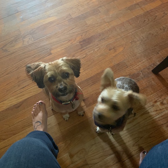 Meet your Posher, Steven - Picture 6 of 8